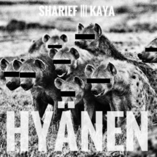 Hyänen