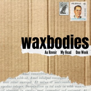 Waxbodies