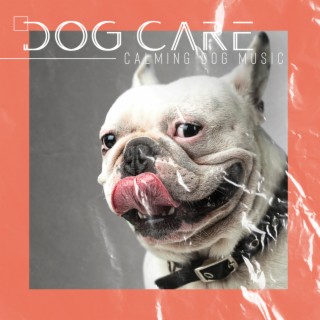 Dog Care: Calming Dog Music