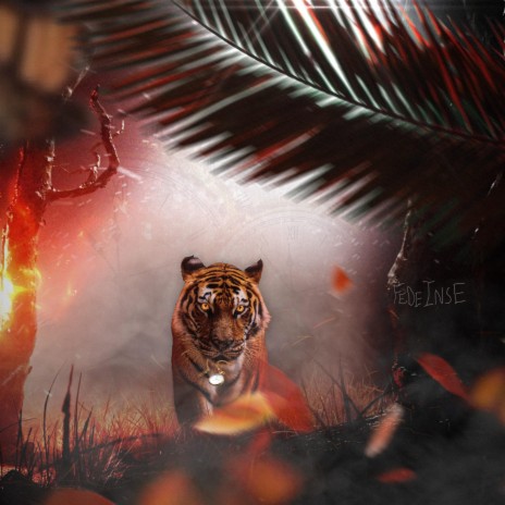 L'anno della tigre | Boomplay Music