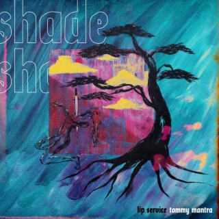 Shade ft. Tommy Mantra lyrics | Boomplay Music