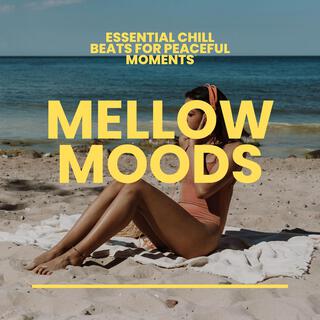 Mellow Moods: Essential Chill Beats for Peaceful Moments