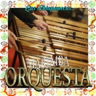 Marimba Orquesta
