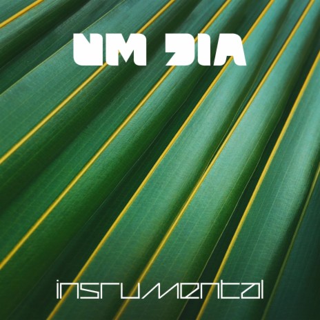 Um Dia (Instrumental)