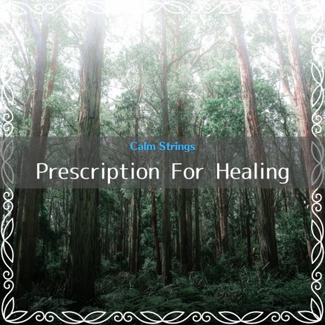 Songs for Healing | Boomplay Music