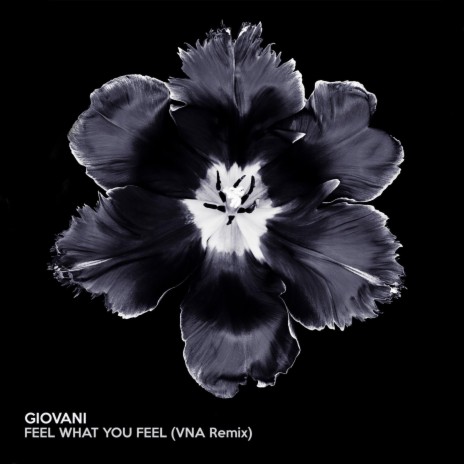 Feel What You Feel (VNA Remix) ft. Giovani | Boomplay Music