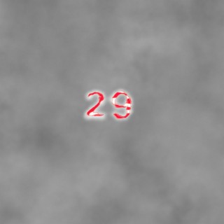 29