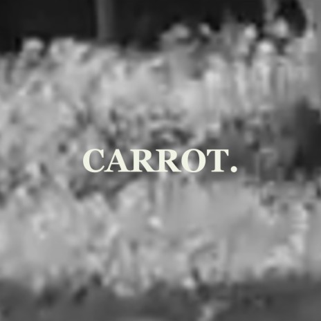 Carrot.