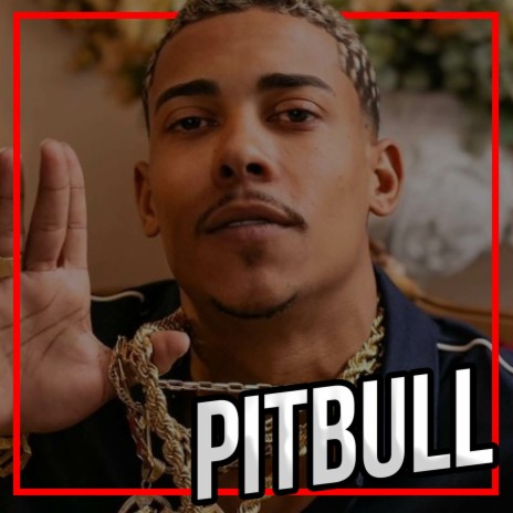 É de Pitbull para Pitbull | Boomplay Music