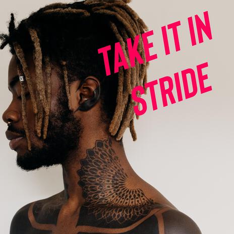 Take It In Stride (Radio Edit)