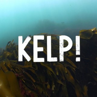 Kelp! (Original Film Soundtrack)