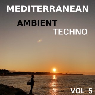 Mediterranean Ambient Techno, Vol. 5