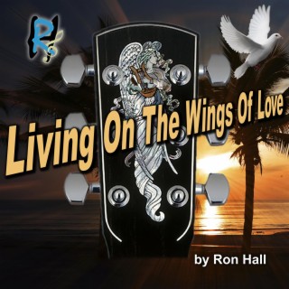 Living On The Wings Of Love lyrics | Boomplay Music