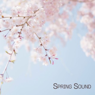 Spring Sound