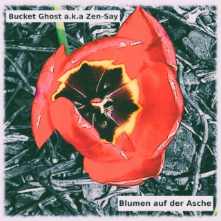 Blumen auf der Asche