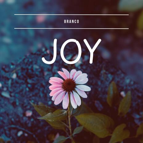 Joy (demo) | Boomplay Music