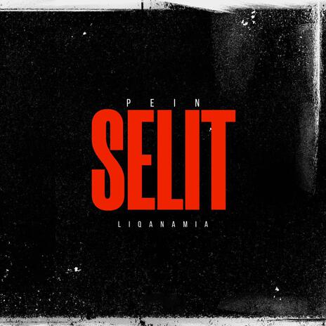 Selit ft. Liqanamia | Boomplay Music