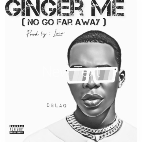 Ginger me | Boomplay Music