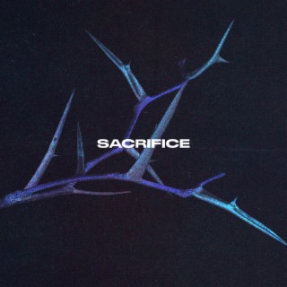 SACRIFICE lyrics | Boomplay Music