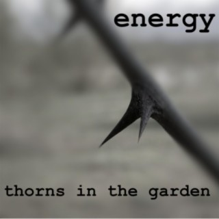 Thorns in the garden