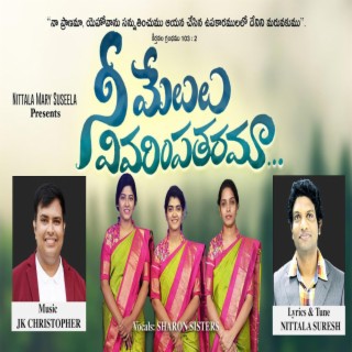 NEE MELULU VIVARIMPATHARAMA lyrics | Boomplay Music