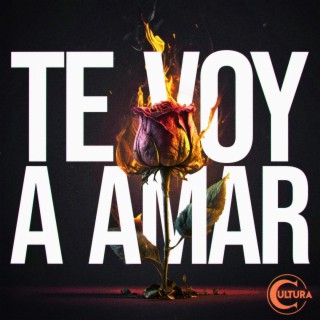 Te Voy A Amar