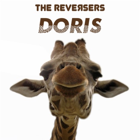 Doris | Boomplay Music