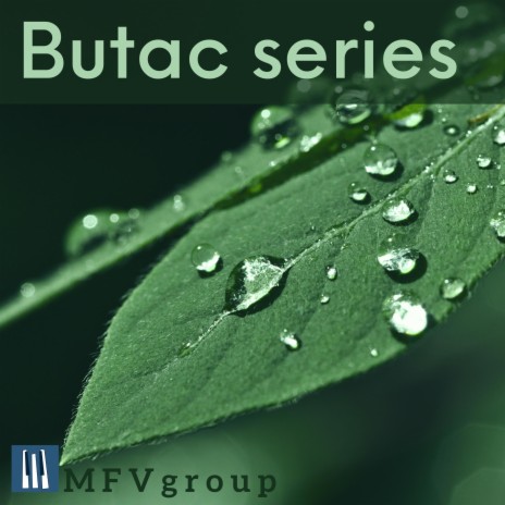 Butac summer | Boomplay Music