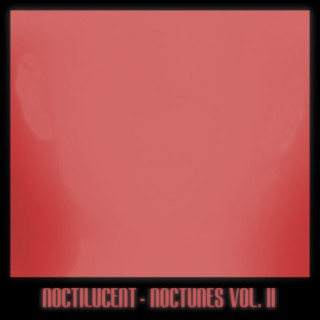 NocTunes Vol. II