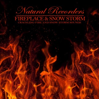 Fireplace & Snow Storm