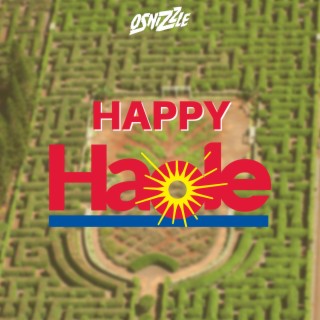 Happy Haole lyrics | Boomplay Music