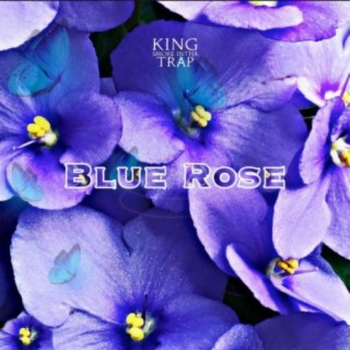 Blue Rose