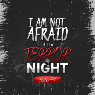 I Am Not Afraid Of The Terror By Night