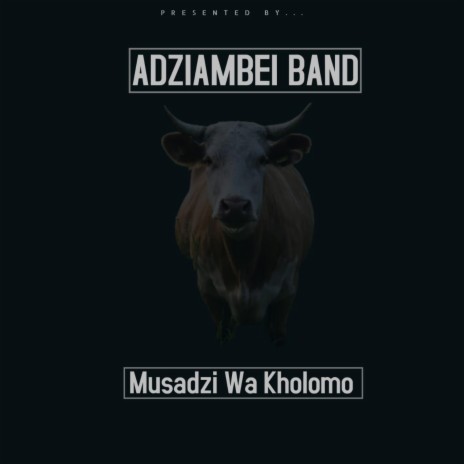 Musadzi wanga | Boomplay Music