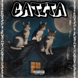 Gatita