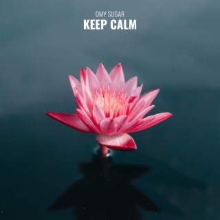 Keep Calm lyrics | Boomplay Music