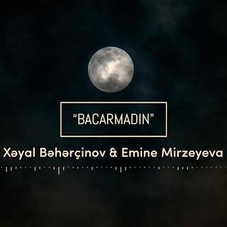 Bacarmadın