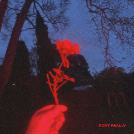 Don't Really | Boomplay Music