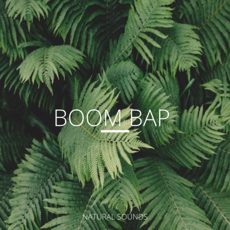 Boom Bap | Boomplay Music