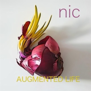 Augmented Life