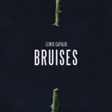 Lewis Capaldi Bruises (Alex Laray Remix)