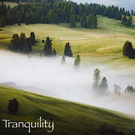 Look Beyond ft. Tranquility Spa Universe & Relaxing Instrumental Music