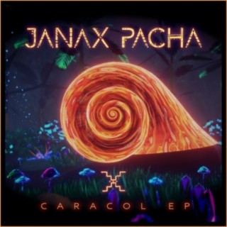 Janax Pacha