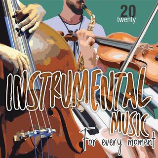 Instrumental Music For Every Moment Vol. 20