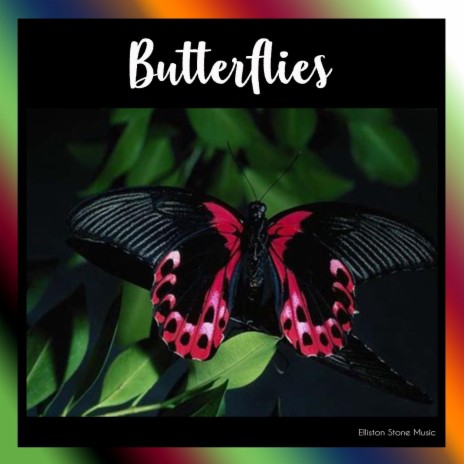 BUTTERFLIES | Boomplay Music