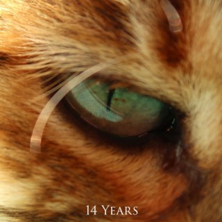 14 Years (ˈfɔːˈtiːn jɪəz)