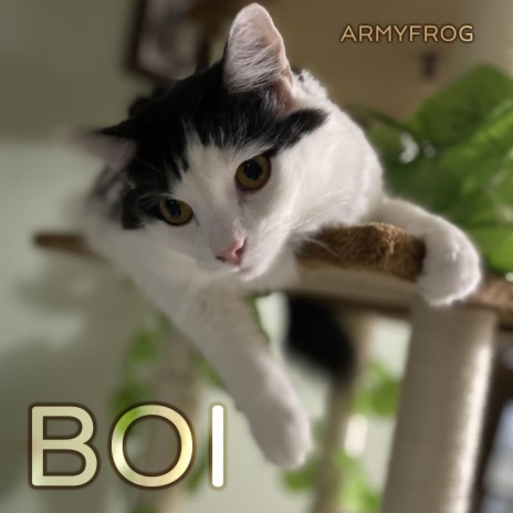 Boi | Boomplay Music