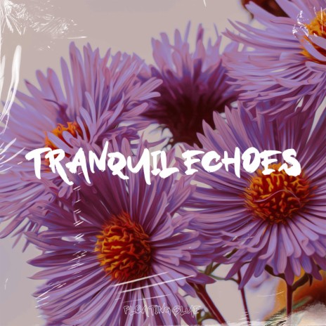 Tranquil Echoes ft. Jerry Of Everything | Boomplay Music