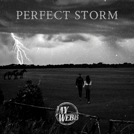 Perfect Storm | Boomplay Music