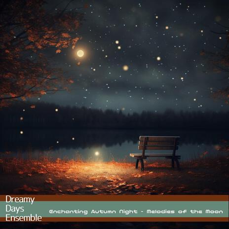 Silky Starlit Serenades | Boomplay Music